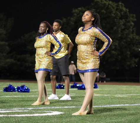 Golden Vikings lose their gold