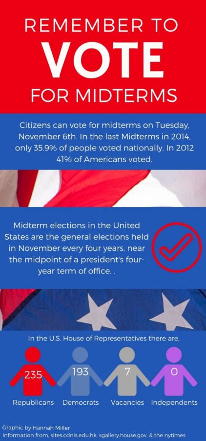 Midterm voting