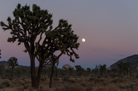 Shutdown leaves nation and its parks in disarray