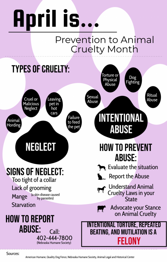 Animal cruelty prevention month – The North Star