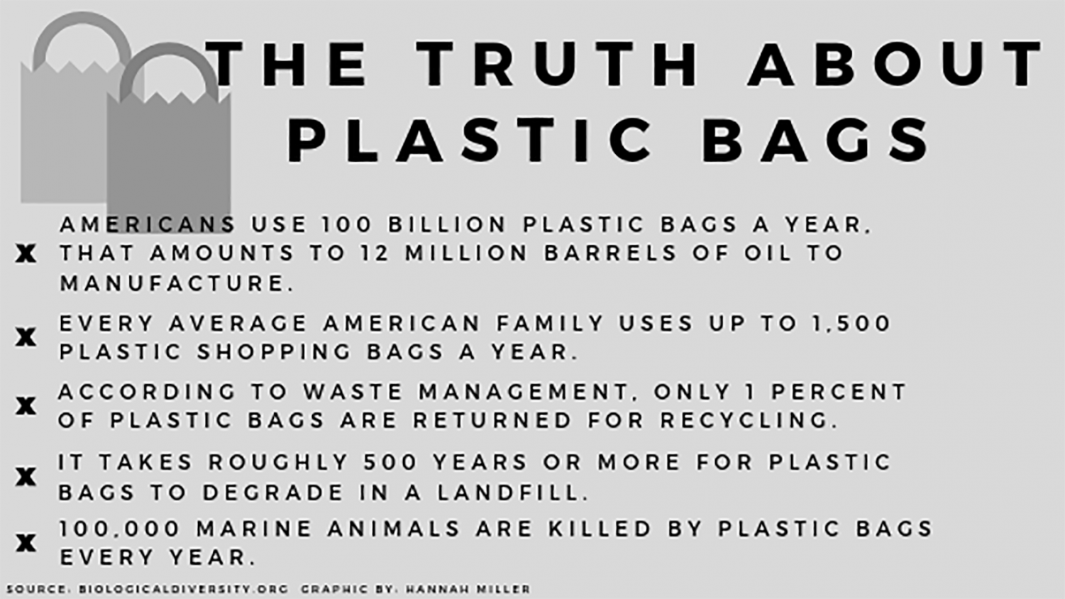The truth about plastic bags The North Star